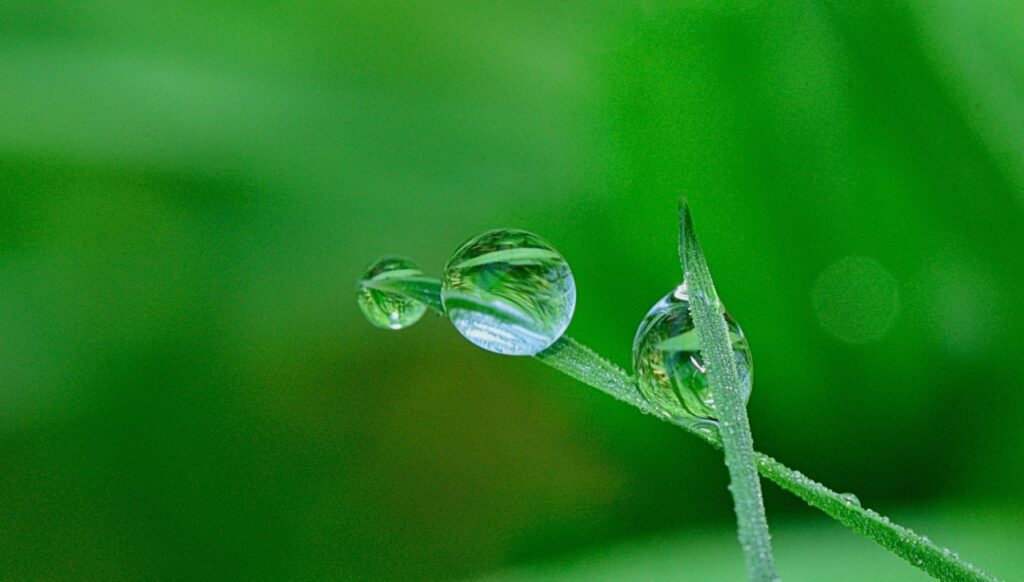 water and environment_feature image_