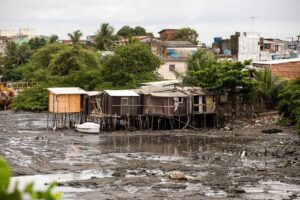 Disaster Risk Reduction feature image