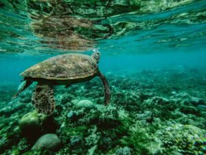 applied-marine-science_feature-image-768x576