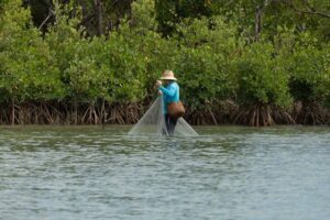 Ecosystem based adaptation